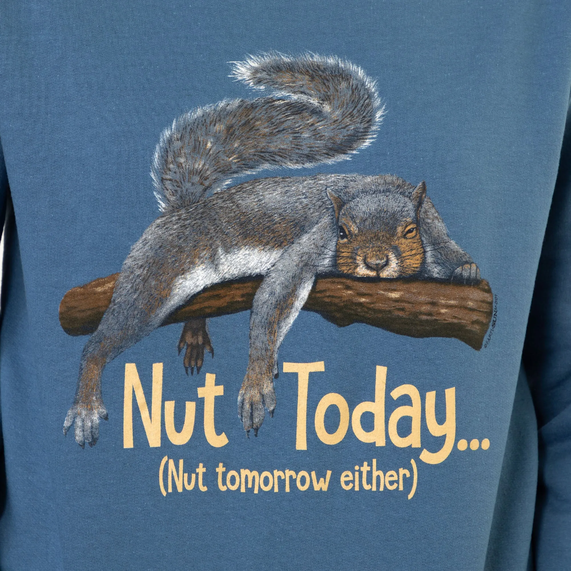 Nut Today Sweatshirt